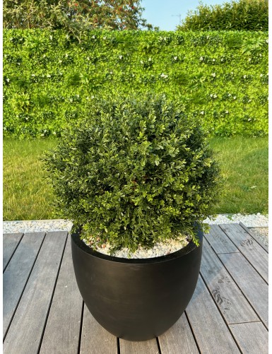 BOJ ESFERA RED DAY RESISTENTE A LOS RAYOS UV