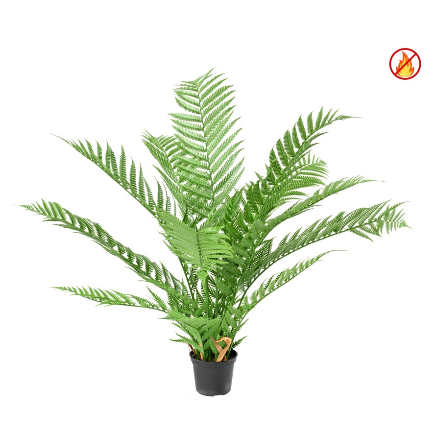 DICKSONIA PLANTA*16 (HELECHO) FR - Resistente al Fuego