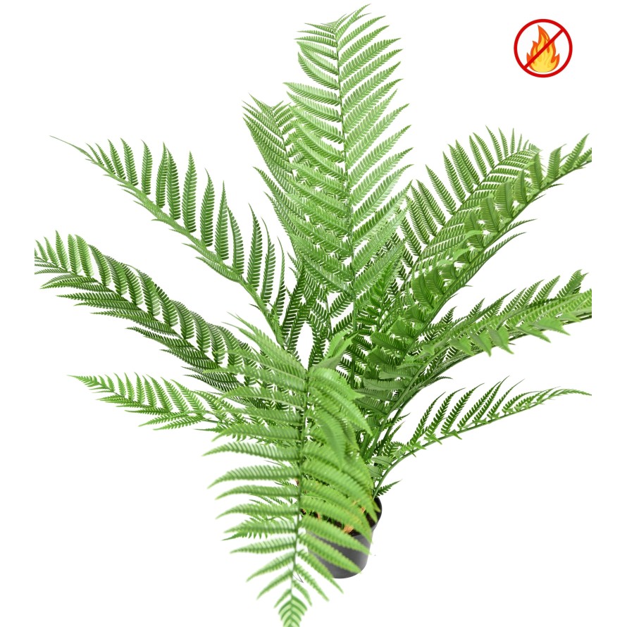 DICKSONIA PLANTA*16 (HELECHO) FR - Resistente al Fuego