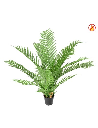 DICKSONIA PLANTA*16 (HELECHO) FR - Resistente al Fuego