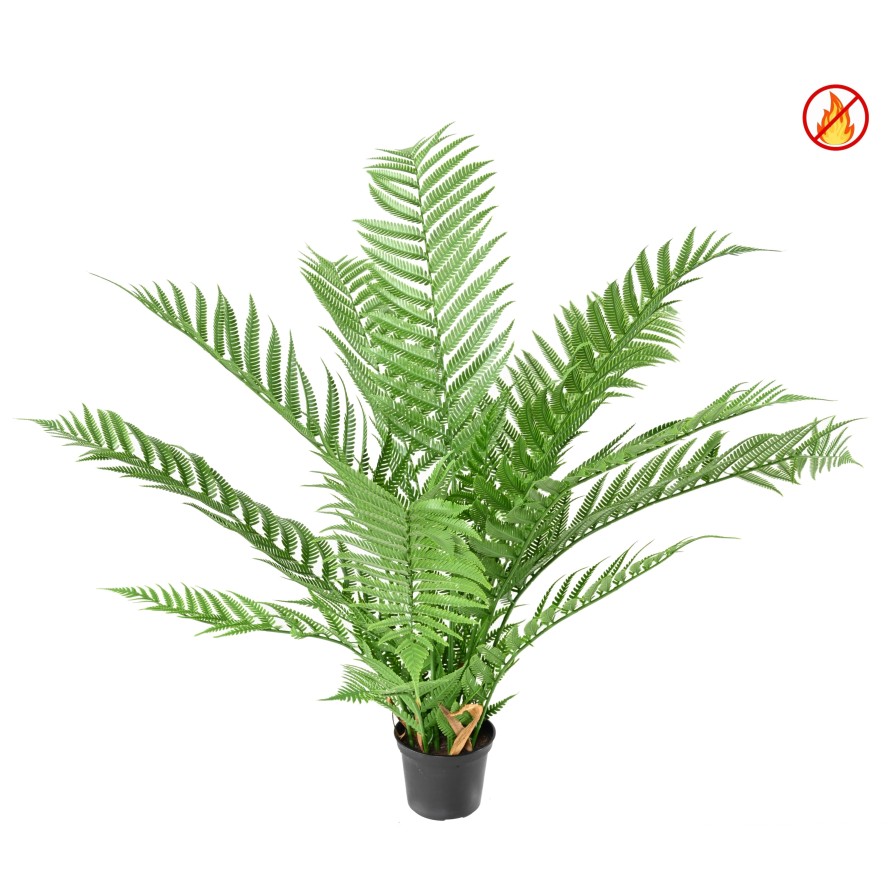 DICKSONIA PLANTA*16 (HELECHO) FR - Resistente al Fuego