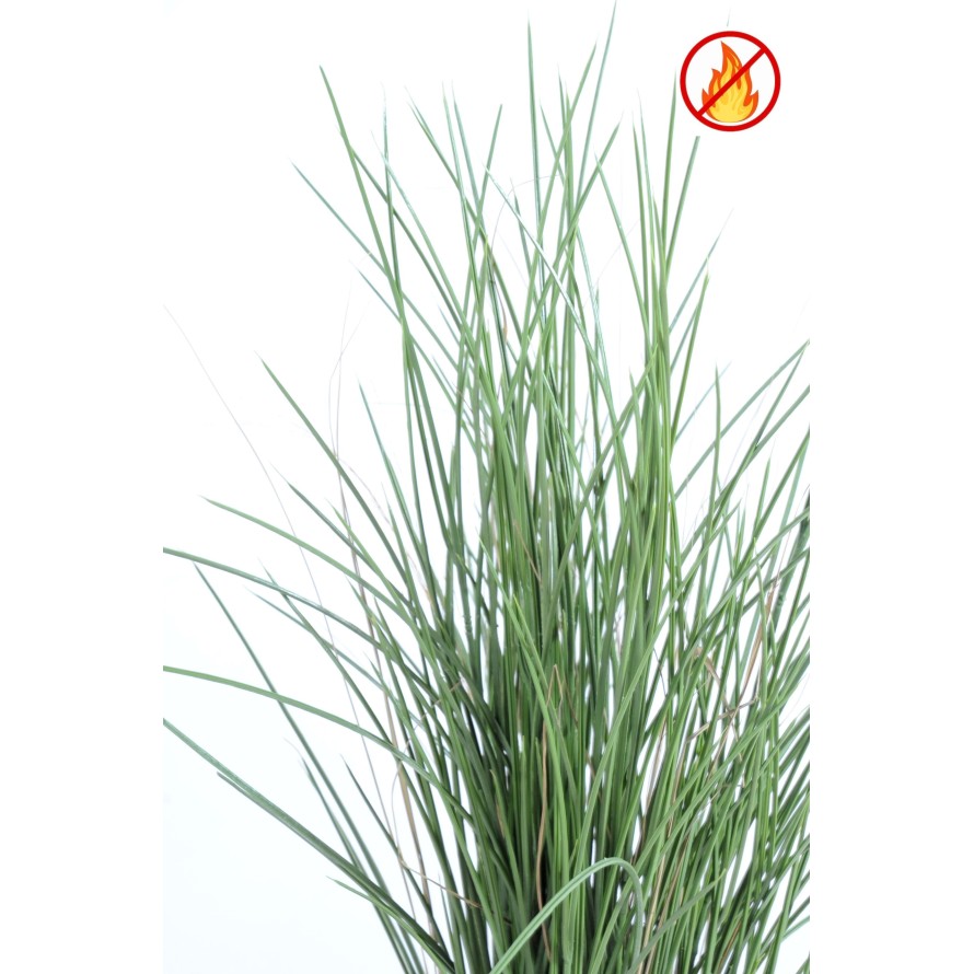 HIERBA HONEY GRASS 80 FR - Resistente al Fuego