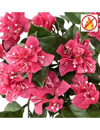 BOUGAINVILLEA (Drillingsblume) HÄNGEKUNSTPFLANZE FR – Feuerbeständig