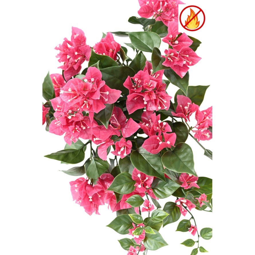 BOUGAINVILLEA (Drillingsblume) HÄNGEKUNSTPFLANZE FR – Feuerbeständig