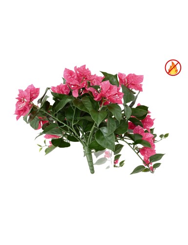 BOUGAINVILLEA (Drillingsblume) HÄNGEKUNSTPFLANZE FR – Feuerbeständig