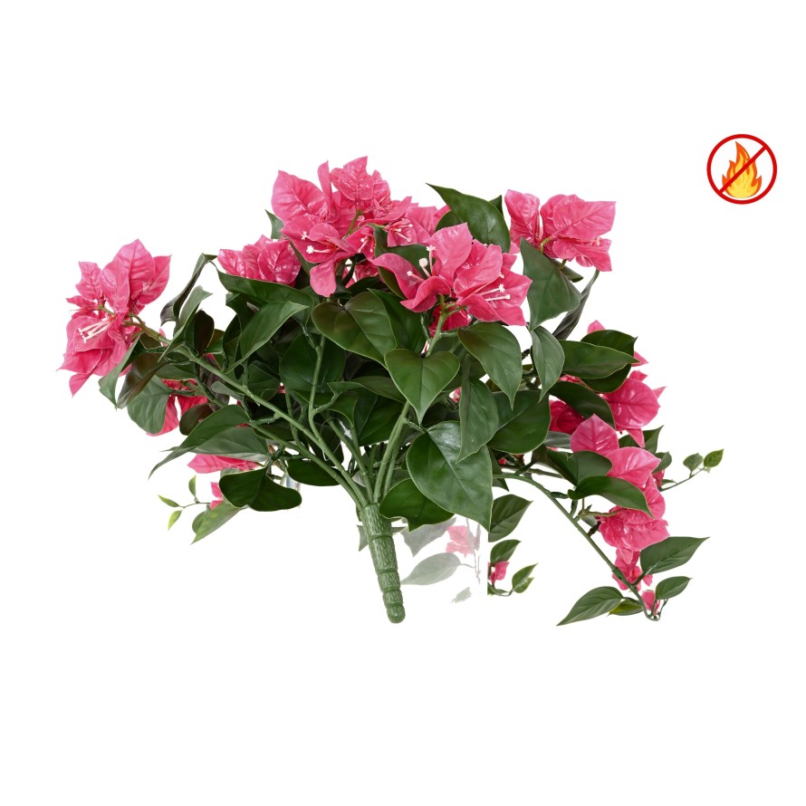 BOUGAINVILLEA (Drillingsblume) HÄNGEKUNSTPFLANZE FR – Feuerbeständig