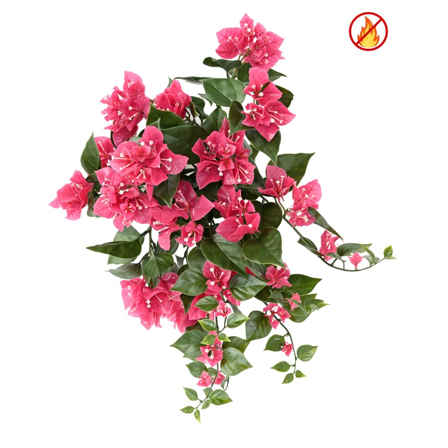 BOUGAINVILLEA (Drillingsblume) HÄNGEKUNSTPFLANZE FR – Feuerbeständig