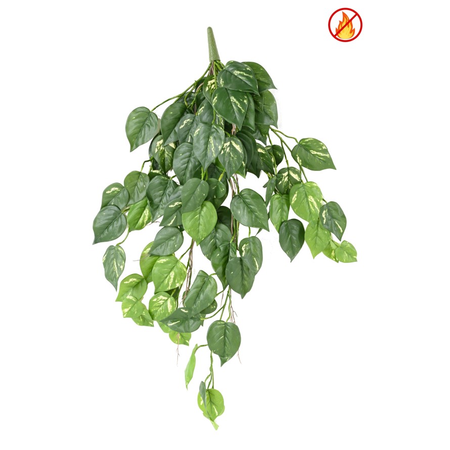 POTHOS COLGANTE 95 FR - Resistente al Fuego
