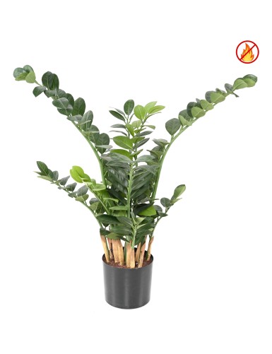 ZAMIA 90 FR - Resistente al...