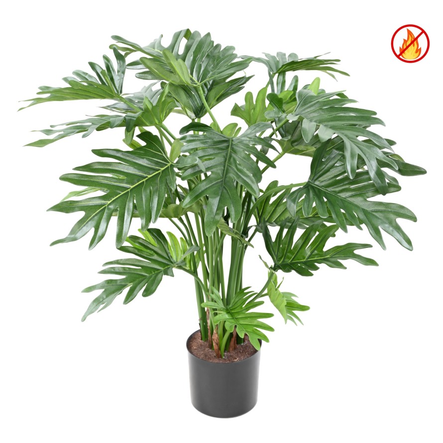 PHILODENDRON SELLOUM 63 CM FR – Feuerbeständig