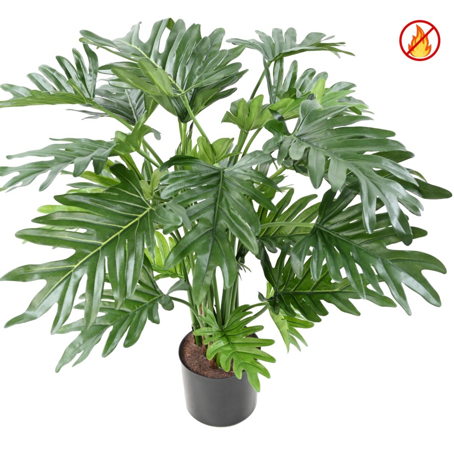 PHILODENDRON SELLOUM 63 CM FR - Resistente al Fuego