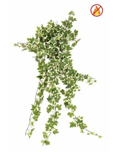 HIEDRA *504 FR - Resistente...