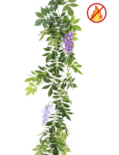 GLICINA GUIRNALDA NEW 180 FR - Resistente al Fuego