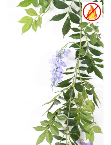 GLICINA GUIRNALDA NEW 180 FR - Resistente al Fuego