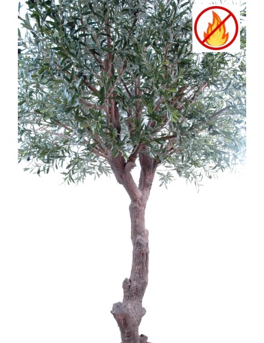 OLIVENBAUM GIANT KRONE 270 FR – Feuerbeständig