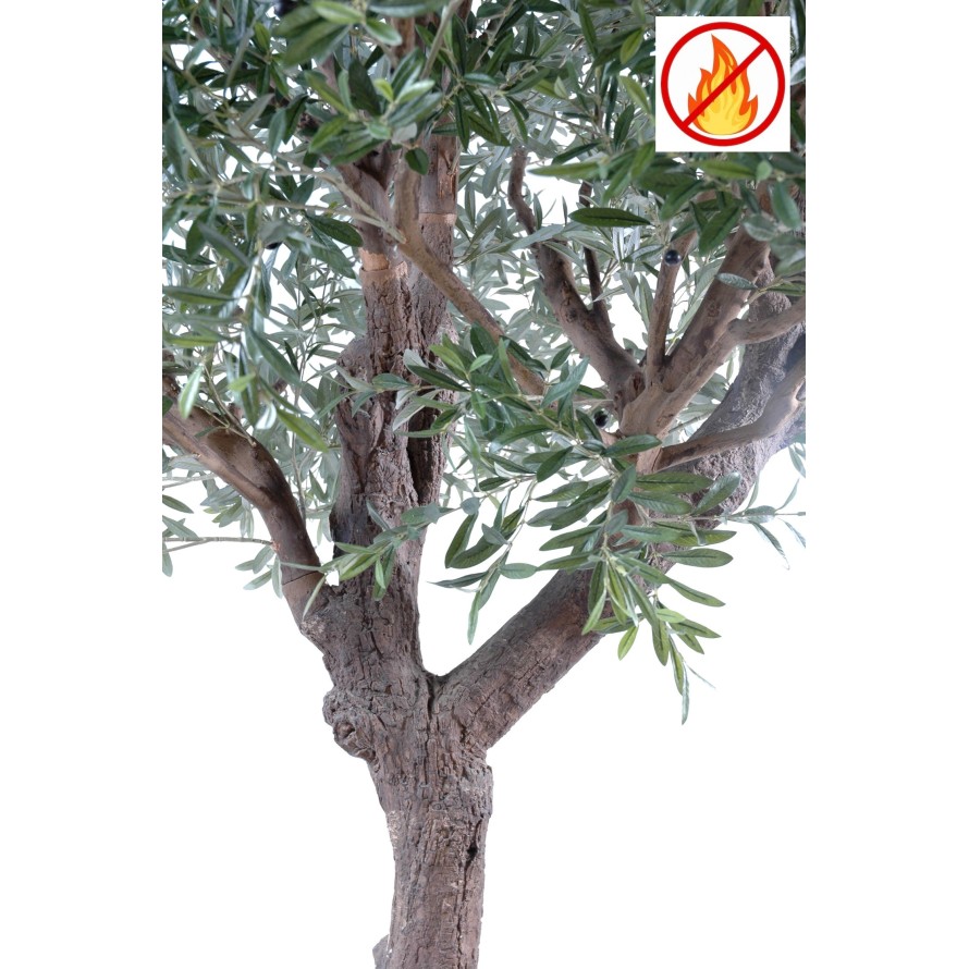 OLIVO CABEZA GIGANTE 270 FR - Resistente al Fuego