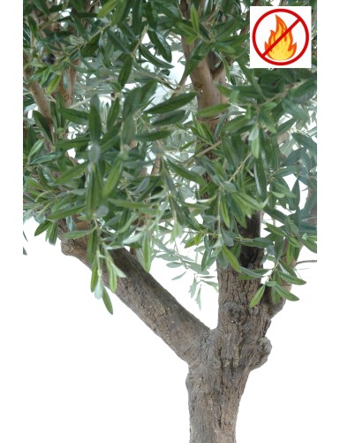OLIVO CABEZA GIGANTE 270 FR - Resistente al Fuego