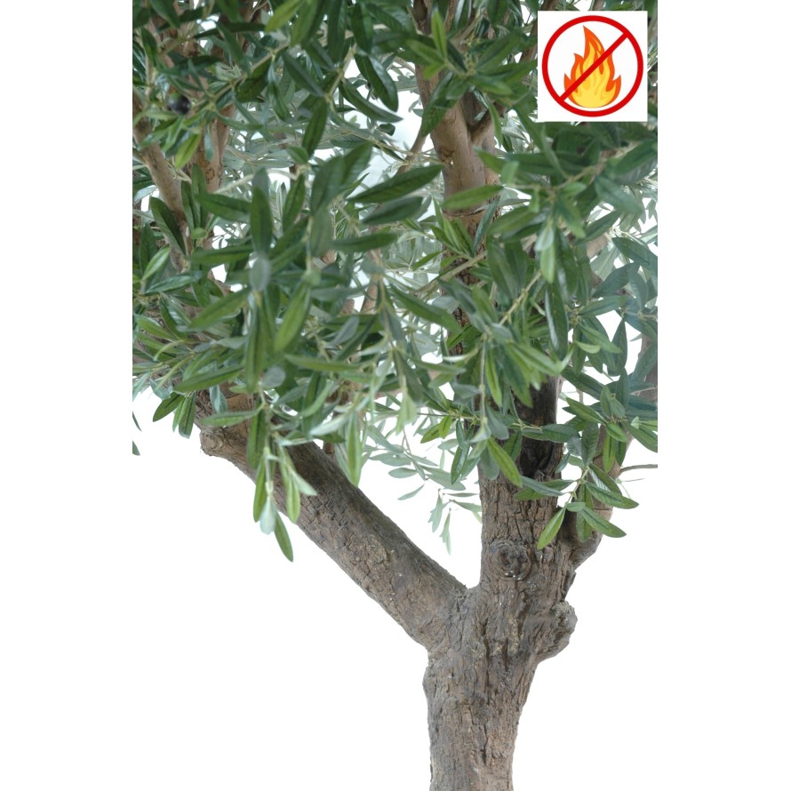 OLIVENBAUM GIANT KRONE 270 FR – Feuerbeständig