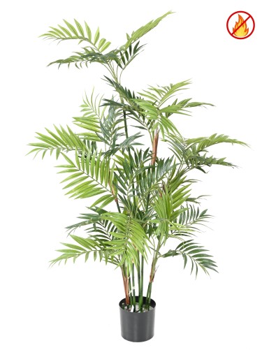 PALME PARLOUR *11 150 FR –...