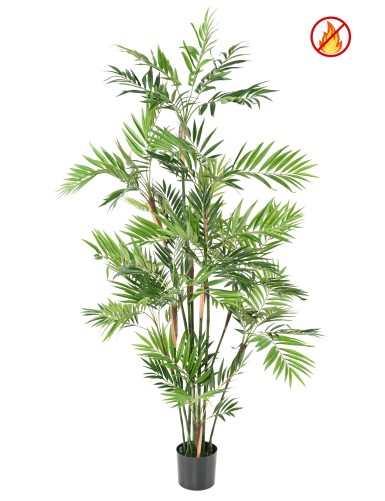 PALME PARLOUR *13 180 FR –...