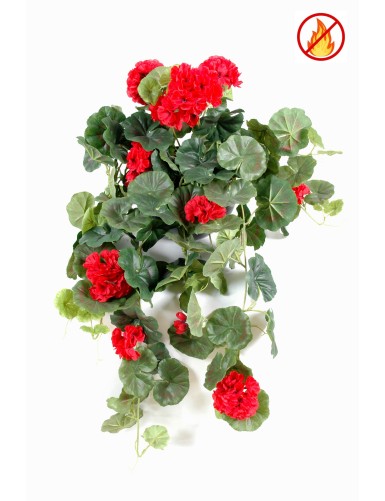 GERANIUM HÄNGEKUNSTPFLANZE...