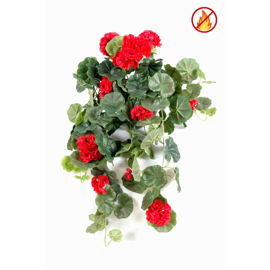 GERANIUM HÄNGEKUNSTPFLANZE FR – Feuerbeständig