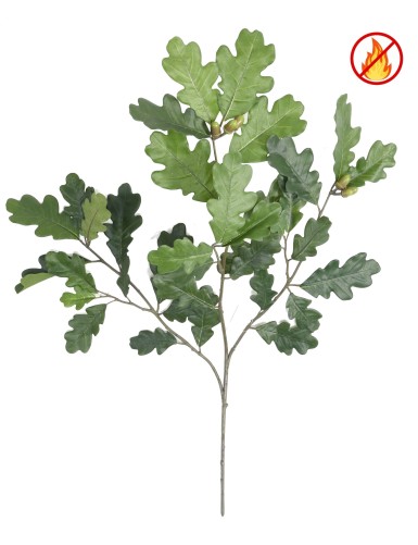 ROBLE RAMA *38 FR -...