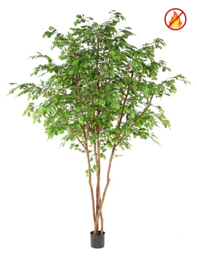 ROBLE 330 FR - Resistente...