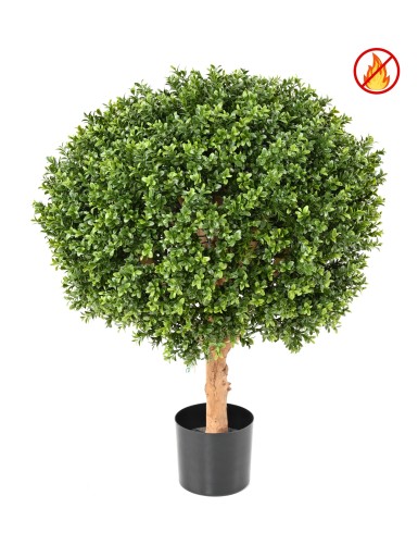 BOJ ESFERA NEW DIÁM. 50 FR...