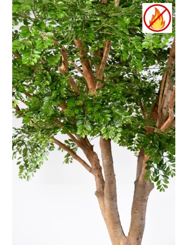 BUCIDA 360 FR - Resistente al Fuego