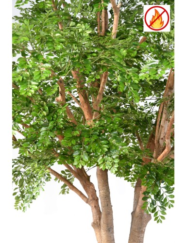 BUCIDA 360 FR – Feuerbeständig