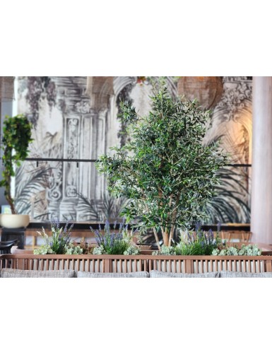 EUKALYPTUS 81 STECKSTAB 30