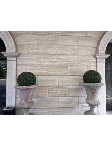 BOXWOOD BALL GR