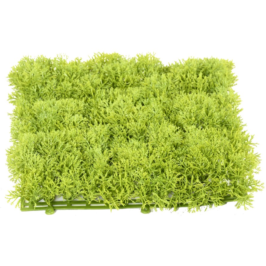 MOSS DEKOPLATTE PE 24 24