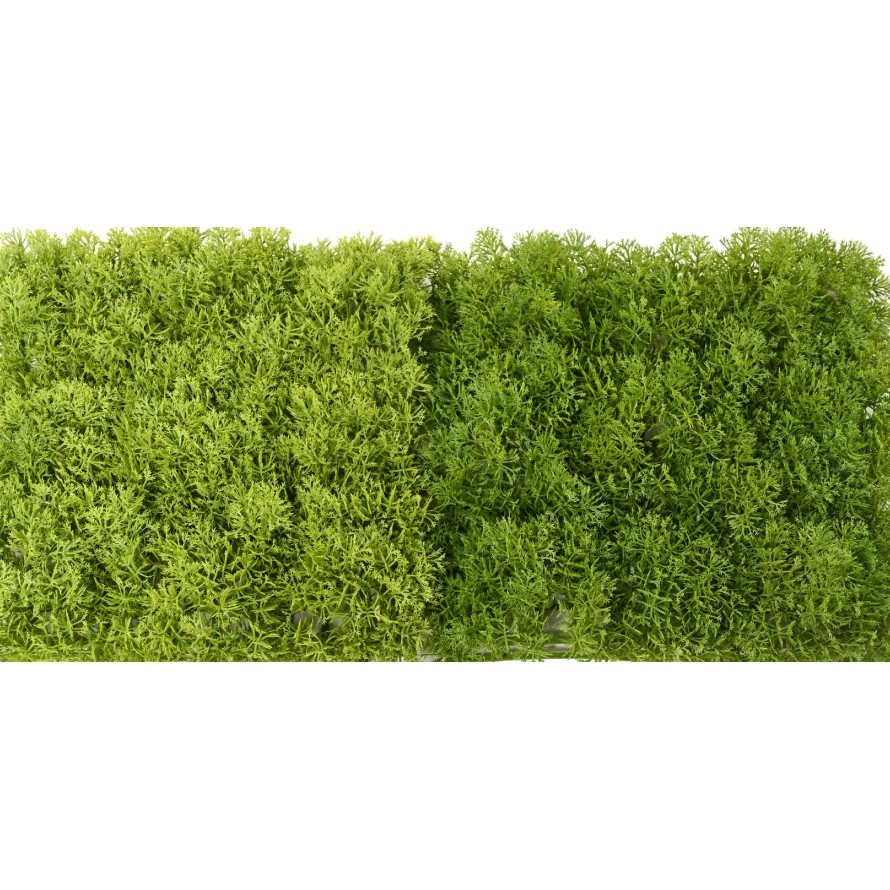 MOSS DEKOPLATTE PE 24 24