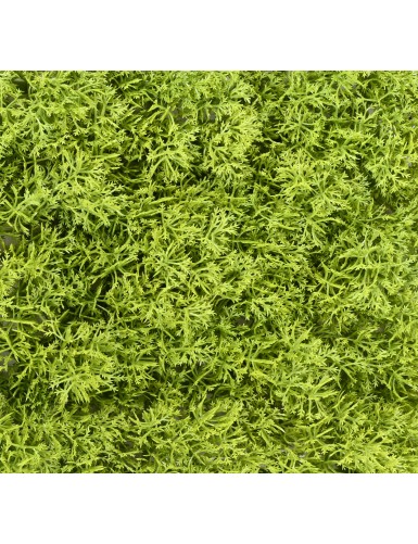 MUSGO PANEL PE 24 24