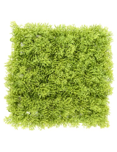 MOSS DEKOPLATTE PE 24 24
