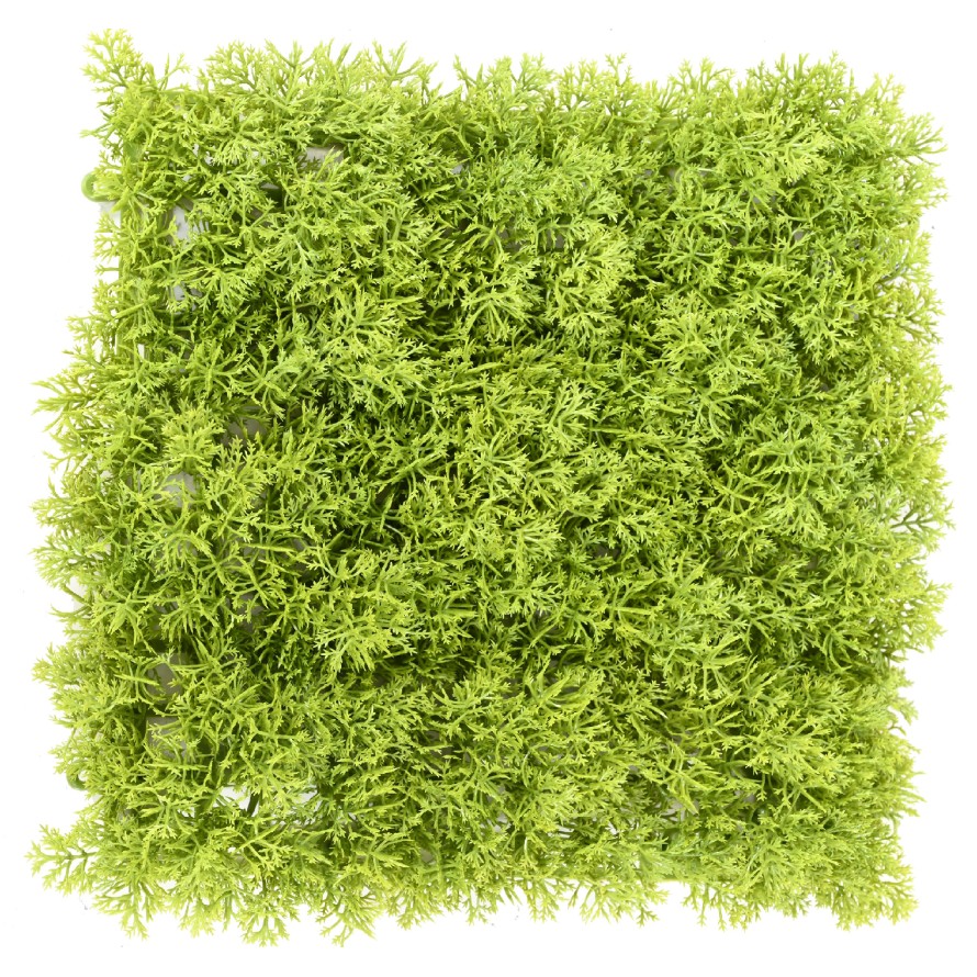 MOSS DEKOPLATTE PE 24 24