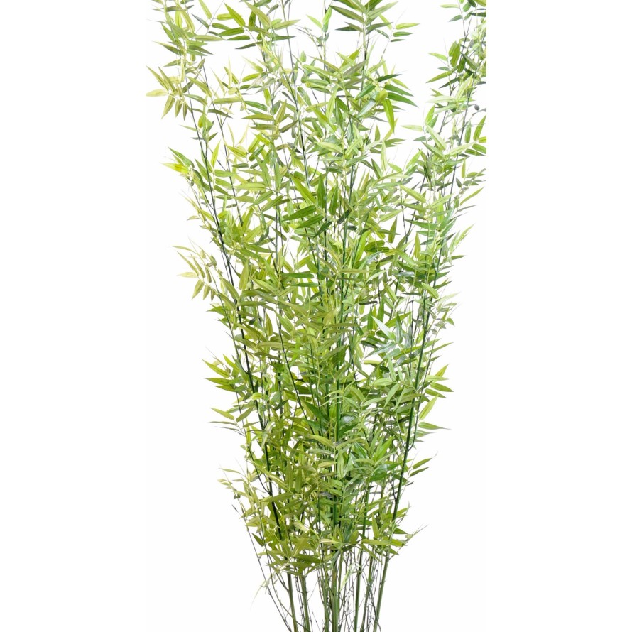 BAMBUS MULTITREE ORIENTALISCH GREEN
