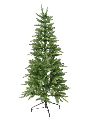 TANNE (Weihnachtsbaum)...