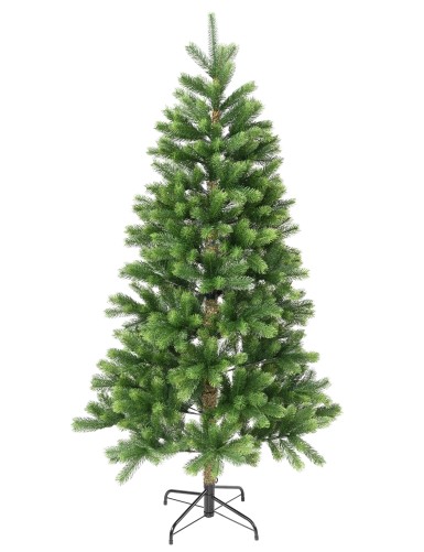 TANNE (Weihnachtsbaum) KENMORE