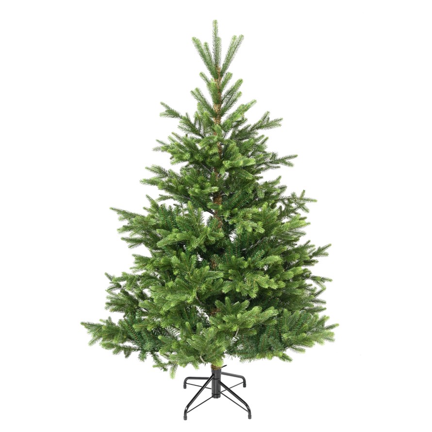 TANNE (Weihnachtsbaum) NORDMANN