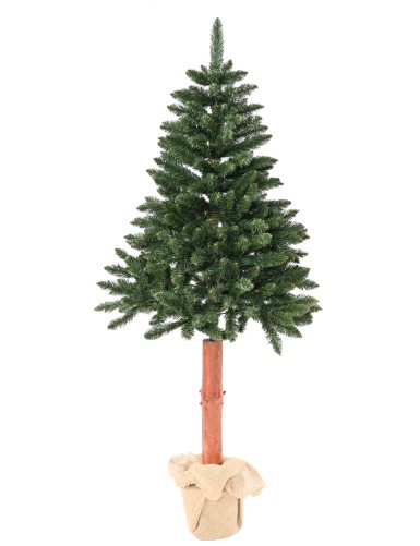 TANNE (Weihnachtsbaum) TORA