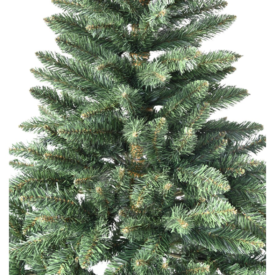 TANNE (Weihnachtsbaum) TORA