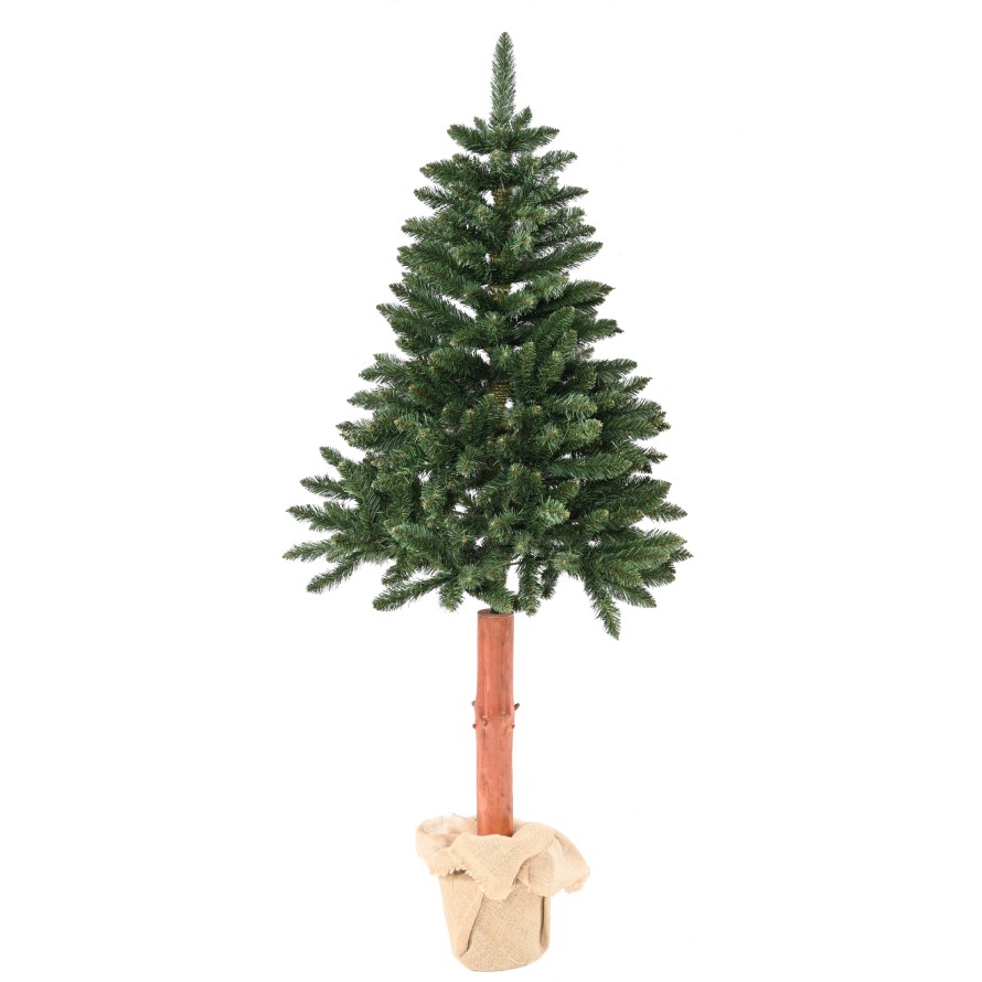 TANNE (Weihnachtsbaum) TORA