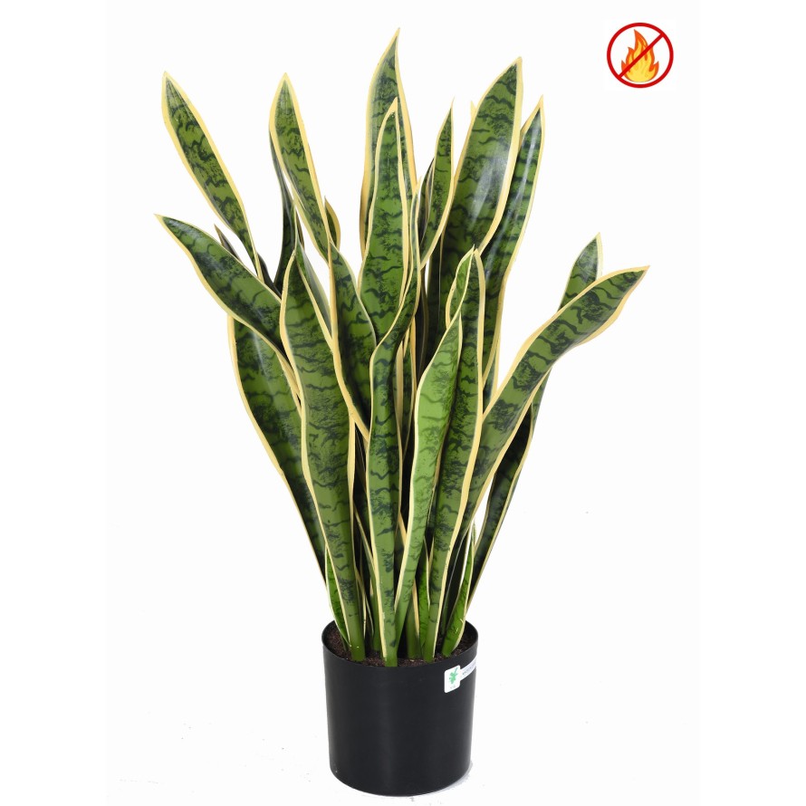 SANSEVIERIA GROSS FR – Feuerbeständig