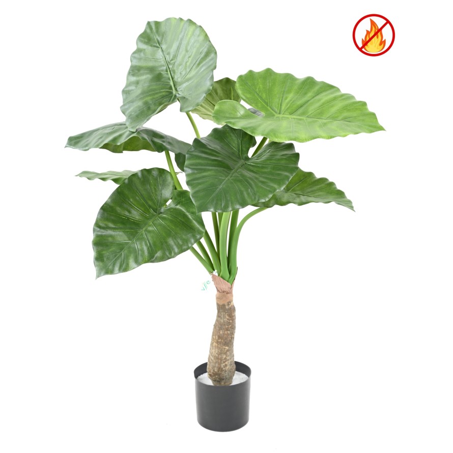 ALOCASIA CALIDORA FR – Feuerbeständig