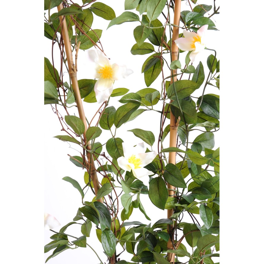 CLEMATIS SICHTSCHUTZMATTE