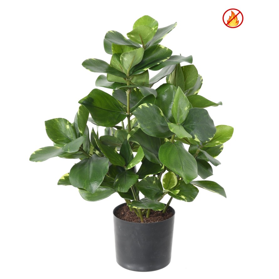 CLUSIA 45 FR - Resistente al Fuego