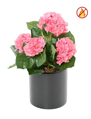 HORTENSIA FR – Feuerbeständig